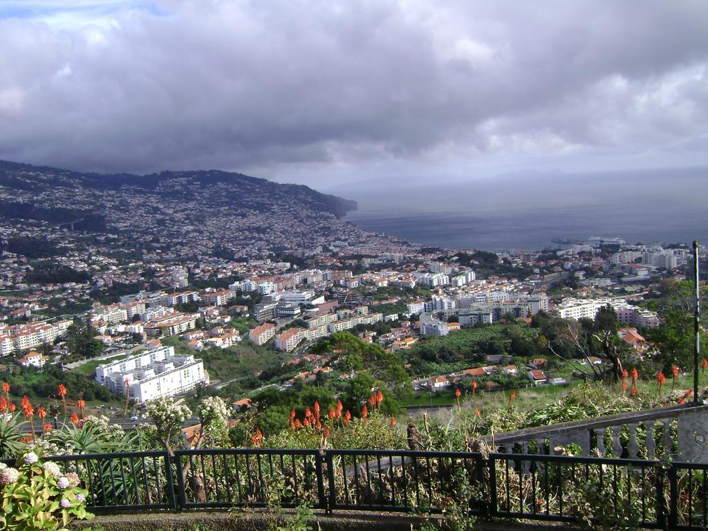 - The Historical Center Of In Local Funchal (Madeira)