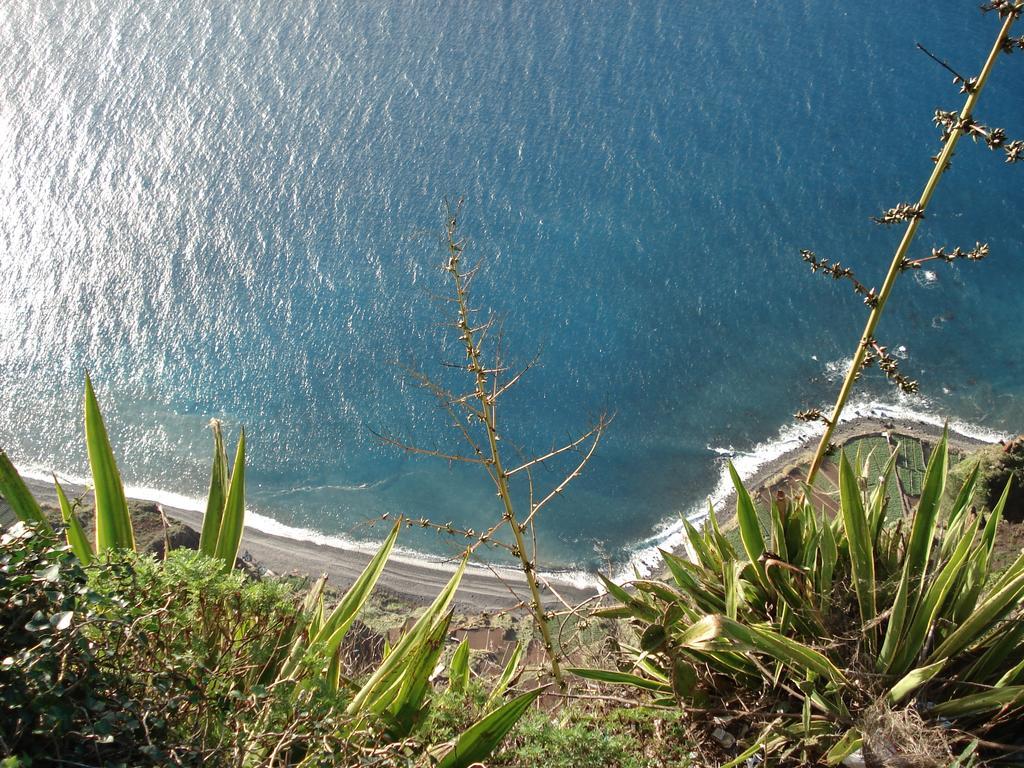 - The Historical Center Of In Local * Funchal (Madeira)