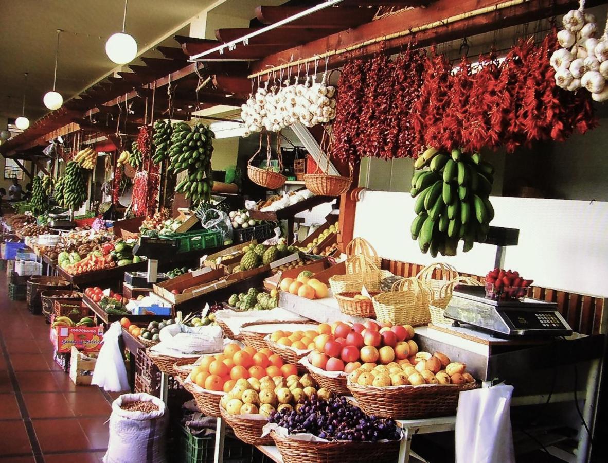 - The Historical Center Of In Local Apartment Funchal (Madeira)