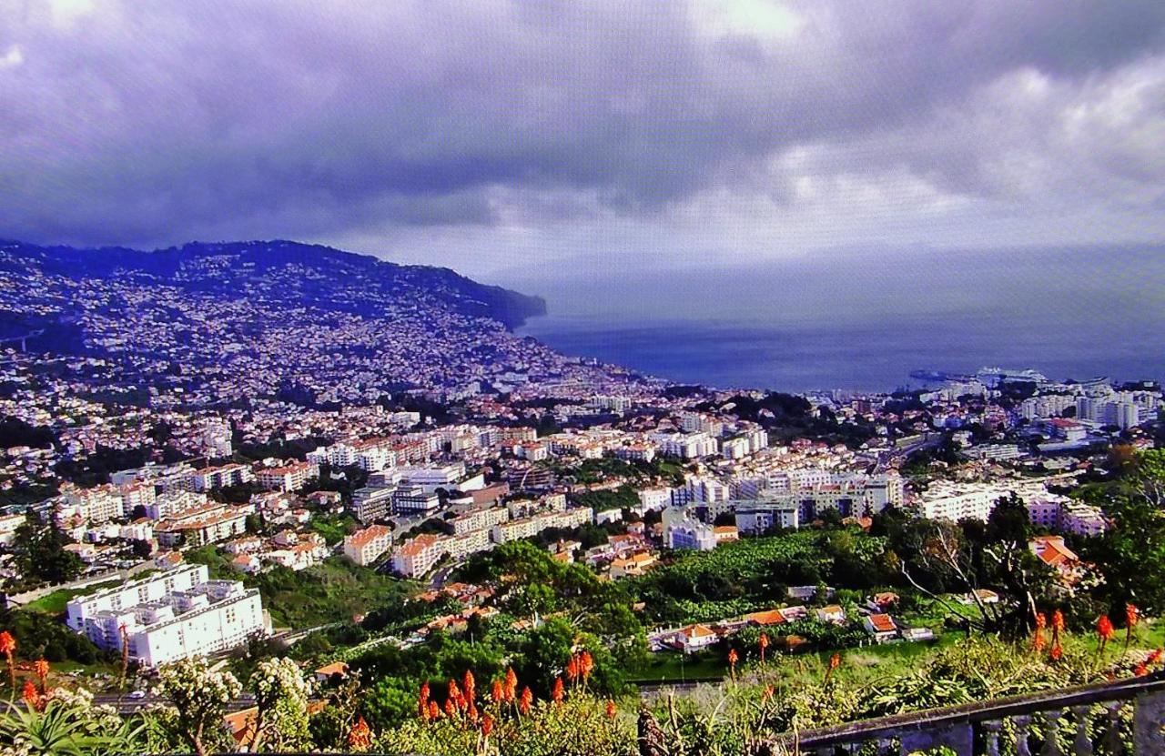 - The Historical Center Of In Local