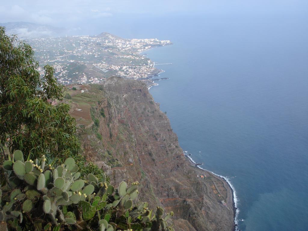 Apartment - The Historical Center Of In Local Funchal (Madeira)